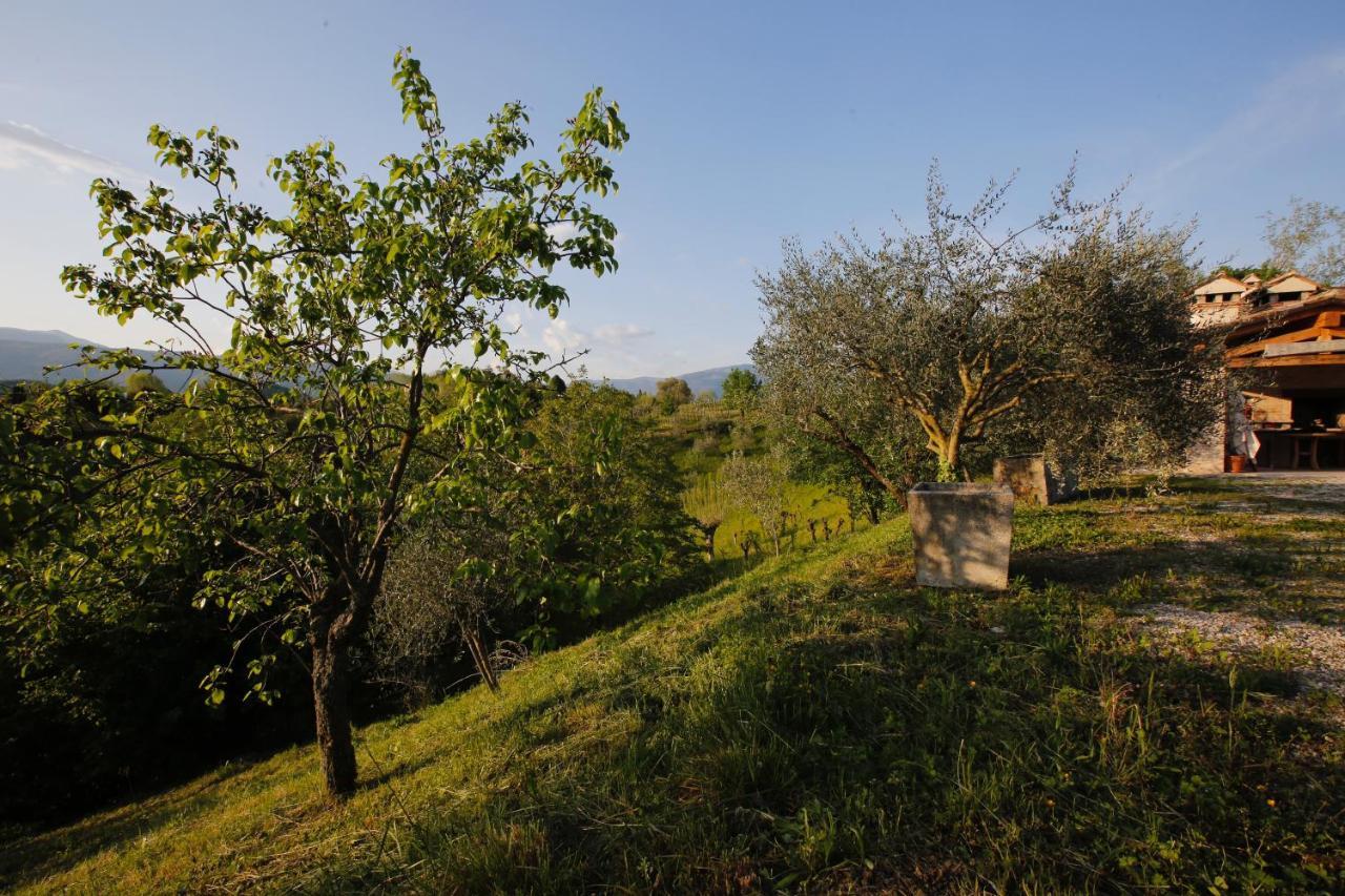 Asolo Norah'S Hill Agri Rooms Monfumo Екстериор снимка
