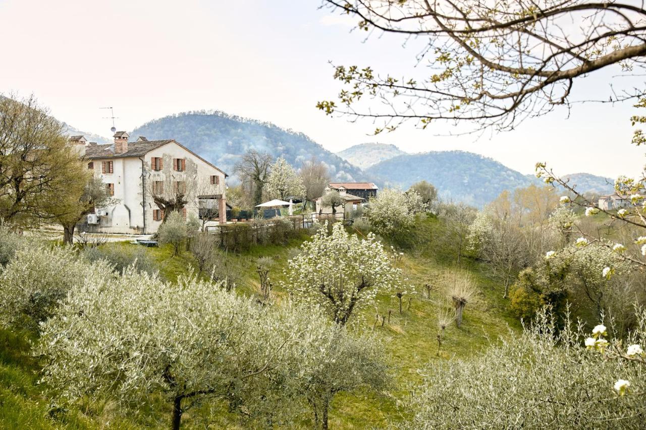 Asolo Norah'S Hill Agri Rooms Monfumo Екстериор снимка