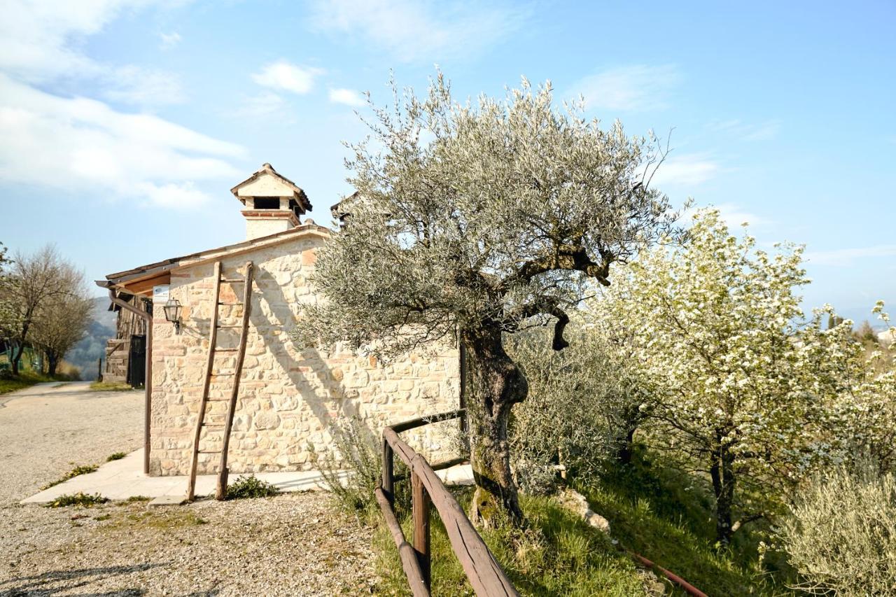 Asolo Norah'S Hill Agri Rooms Monfumo Екстериор снимка