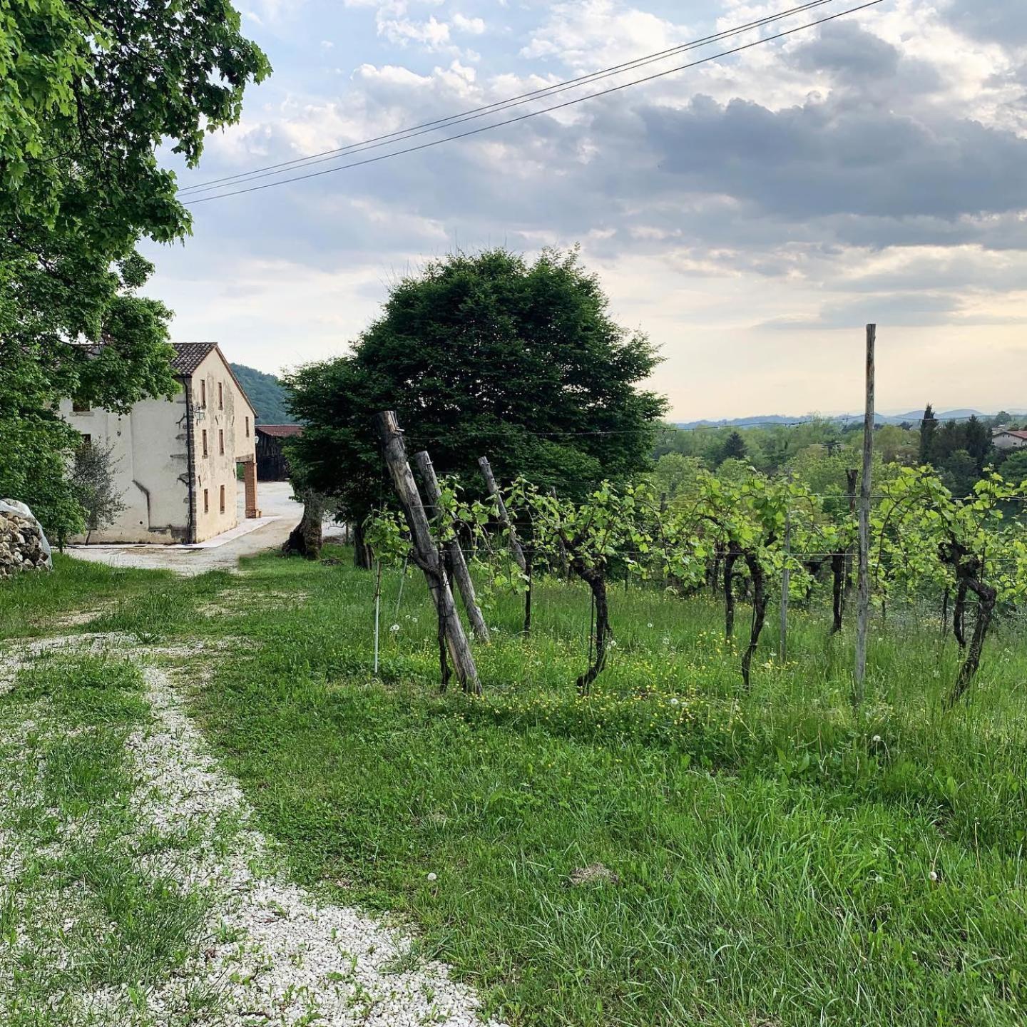 Asolo Norah'S Hill Agri Rooms Monfumo Екстериор снимка