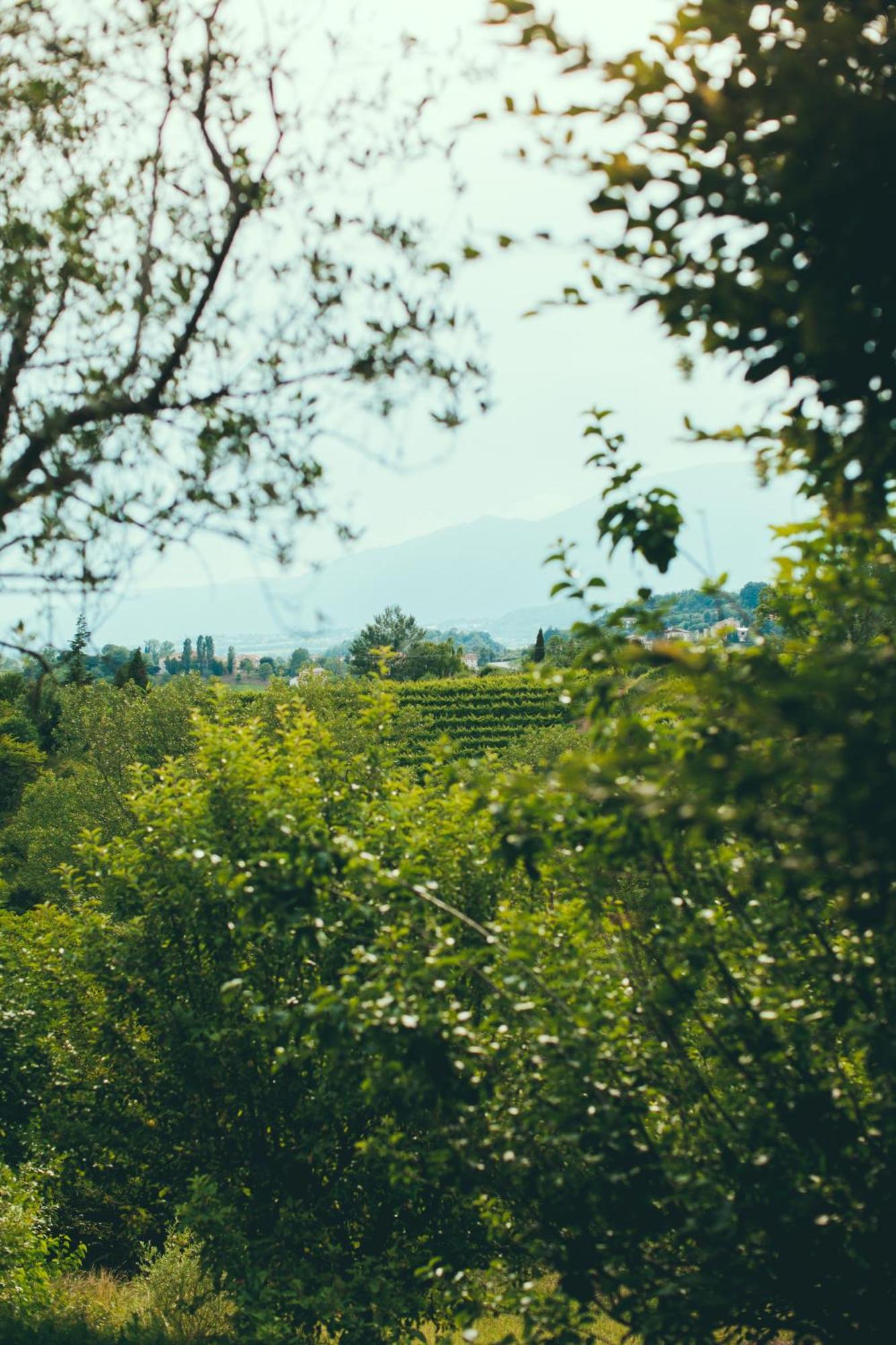 Asolo Norah'S Hill Agri Rooms Monfumo Екстериор снимка